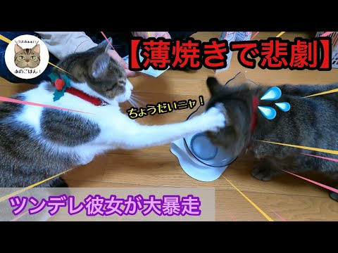 猫様専用の「薄焼き」が人気過ぎて大変な事になりました