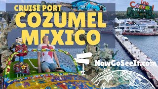 Cruise Port Punta Langosta Cozumel - Disney & NCL Cruise Port in Cozumel - Excursions or On Your Own