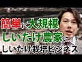 【農業で稼ぐ小口出資】数ある農業の中で"しいたけ栽培"を選んだ理由/投資ナビ