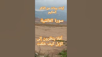 آيات بينات من الذكر الحكيم سورة الغاشية #القرآن_الكريم #قرآن#explore#اكسبلور #quran #قرآن#راحة_نفسية