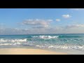 الحركه بركه 