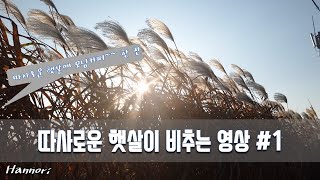 4K 따사로운 햇살이 비추는 영상 #1 (Windows 화면보호기용)