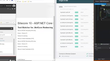 Sitecore 10   ASP NET Core Rendering SDK Setup Details