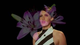 sienna spiro-- the vistior (flowers blooming)