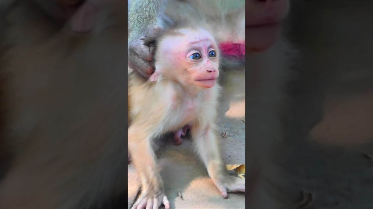 Deep Pity Lily cried 