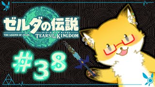 #38【ゼルダの伝説　ティアーズ オブ ザ キングダム】そろそろ最終決戦行っちゃう！？【ちゅうけんぽちこう】