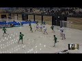 20180728 男子ハンドボール 2回戦 氷見富山県 対 函館大有斗北海道