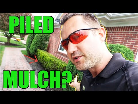 Video: Moet je de mulch elk jaar verwijderen?