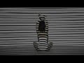 The Stripe Shadow Ledger Still Logging: SEC Can't Stop It?