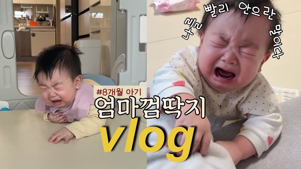 육아기록 스물 아홉번째. 엄마껌딱지된 8개월 아기 일상(현재진행형..), 아마존 쏘서 분해, 중기이유식 막바지, 핑거푸드, 이불패드 추천!