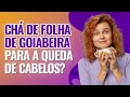 CHÁ DE FOLHA DE GOIABEIRA para Queda de Cabelo ? Faz crescer cabelo ? | Dr Lucas Fustinoni