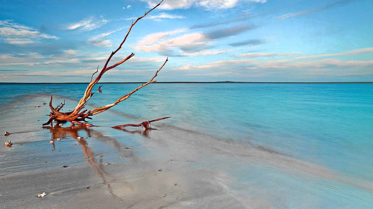 OneRepublic - Love Runs Out : 네이버 블로그