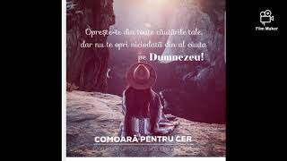 Oceanele Cumplit Vuiesc Salomeea Stoica