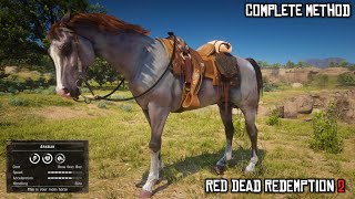 I found this Rare Arabian Horse Early in Ch 2 (Patched) |  Rose Grey Bay Arabian | RDR 2 | PS4 Slim