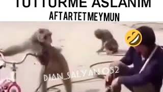 Amerikan Dublaj - Sigara Içen Maymun