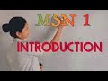 Msn 1st   chapter 1 introduction l  1