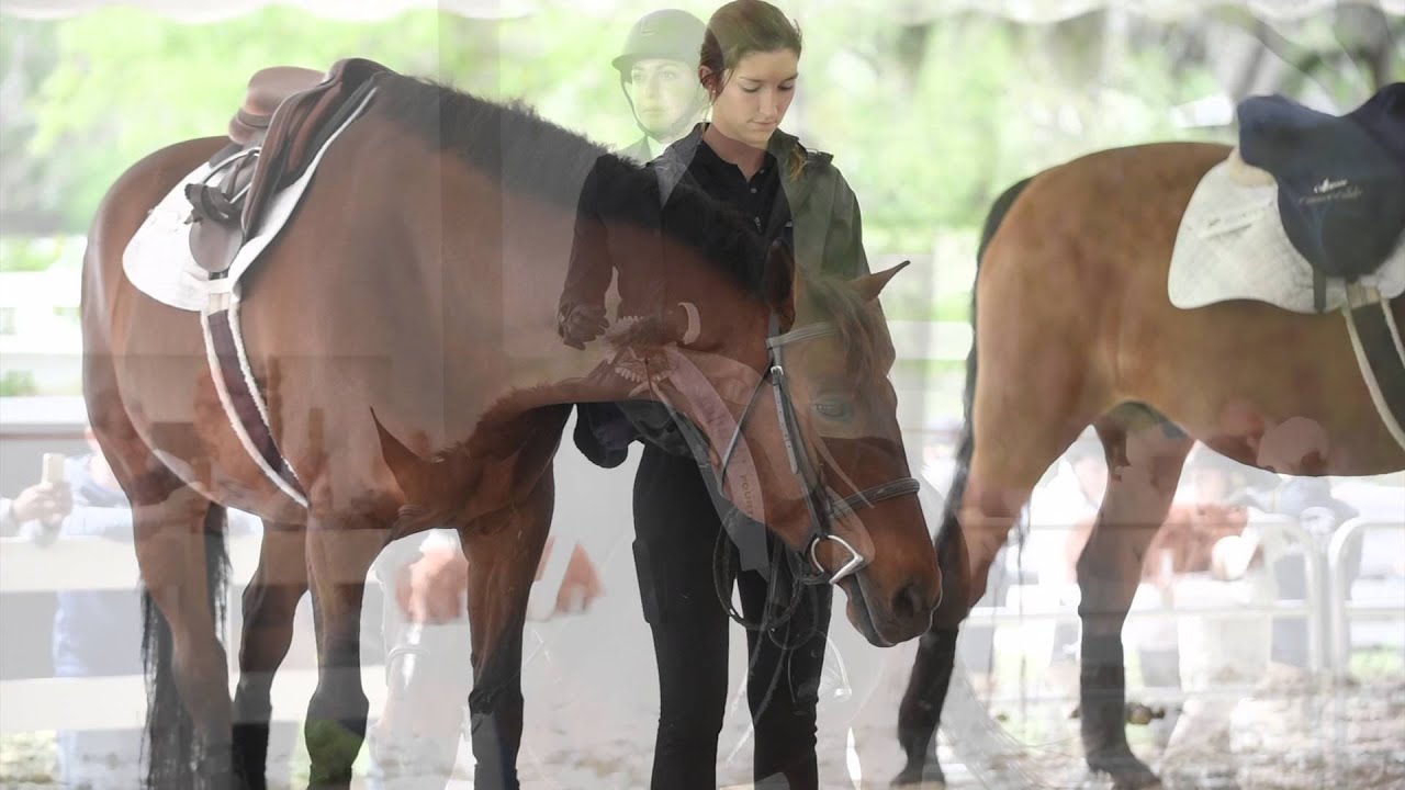 SCAD Equestrian Zone 5 Champions 2016 YouTube