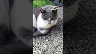 Rayonda Gunlük Vlogg