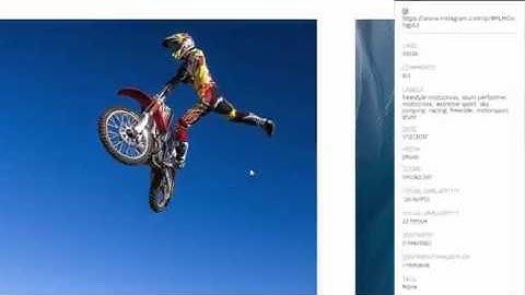 Zegami Data Visualisation - Top Features
