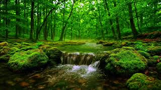 Relaxing River Sounds for Sleeping Fast  Natural Water Sounds