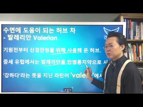 수면에 도움이 되는 허브차 발레리안 주의사항 valerian tea