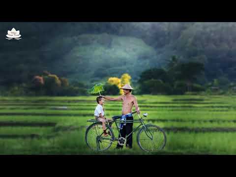 Video Hòa tấu sáo trúc , đàn tranh không lời hay nhất - Nhạc... - youtube