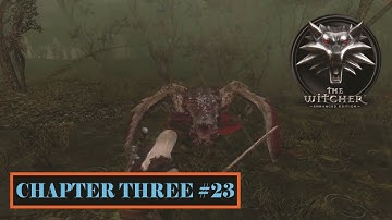 The Witcher 1 Enhanced Edition Walkthrough Gameplay Part23