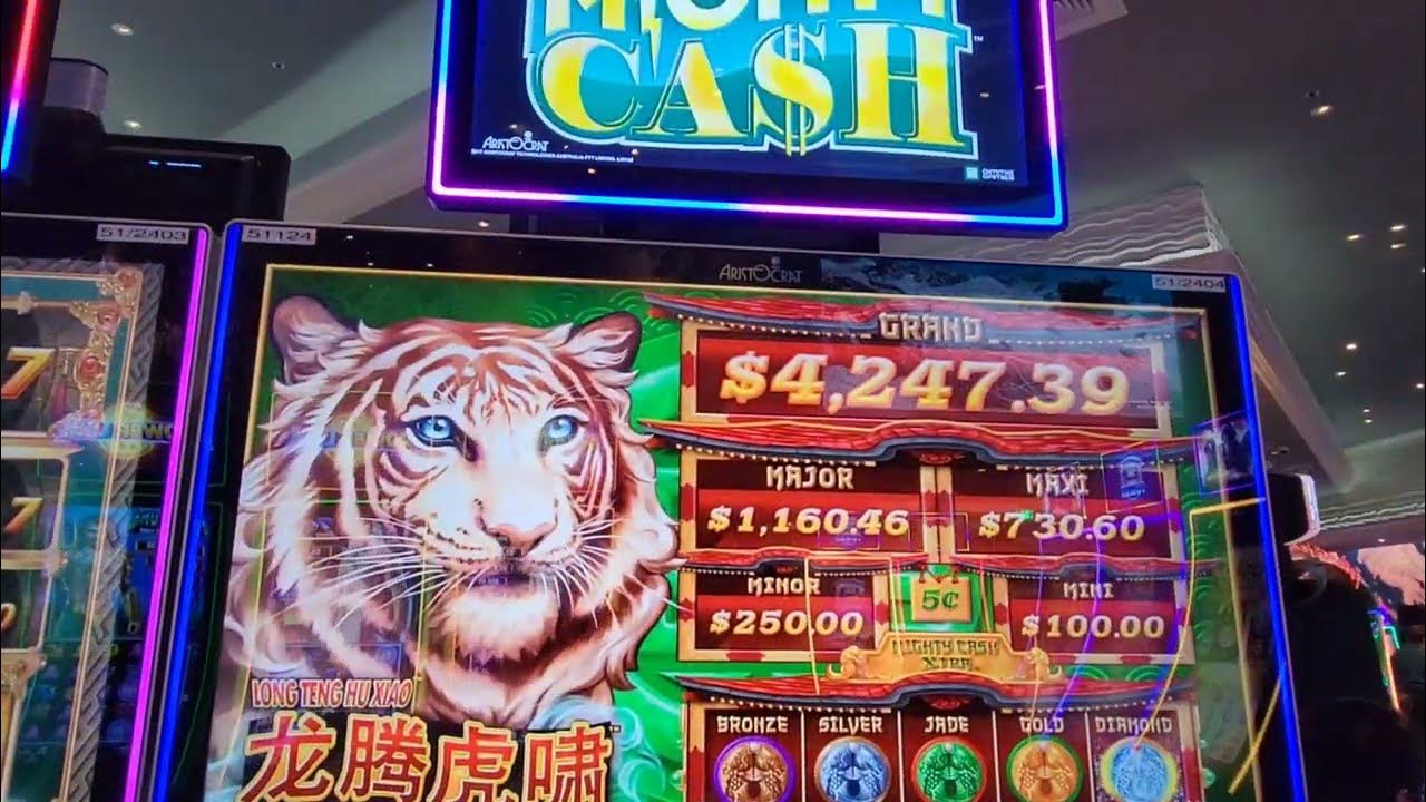 Winner Winner Ducks for Dinner? Bonuses galore means lots of 💸 right