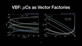 Nathaniel Craig: The Muon-Smasher’s Guide