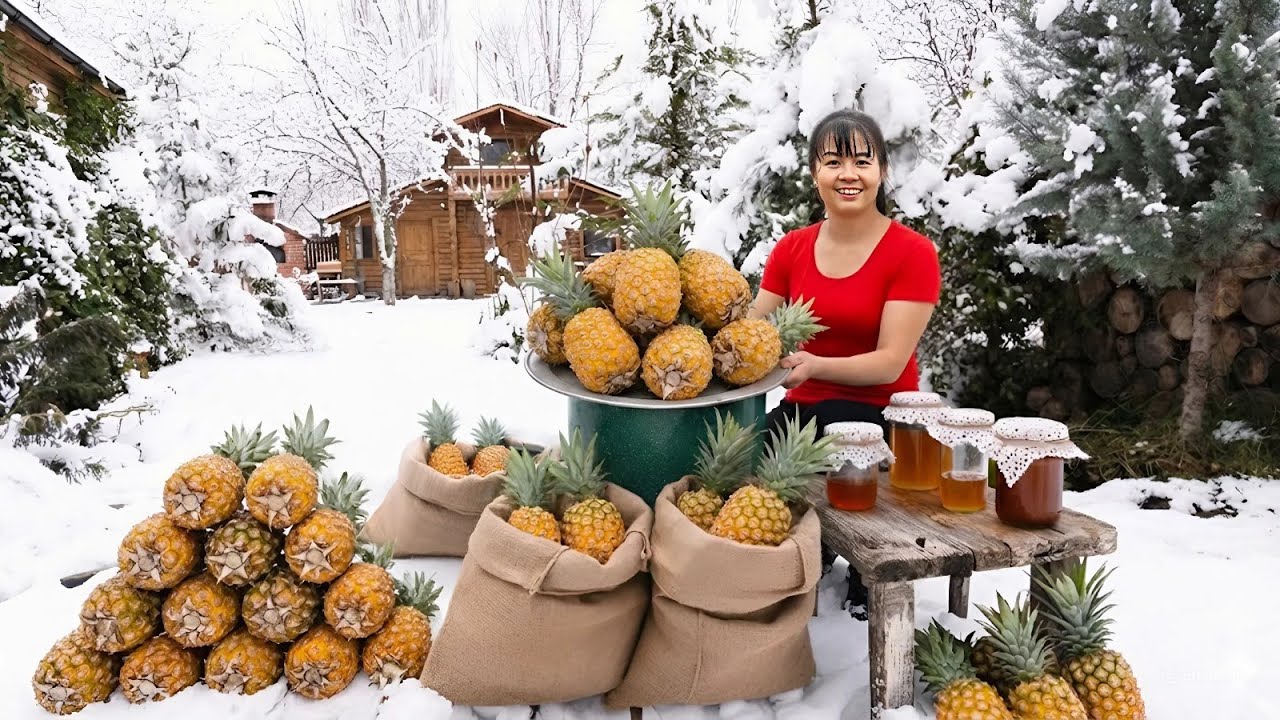 TIMELAPSE -- Harvest Rare Wild Pineapple, Fermenting 100-Year-Old Wild Wine | Exotic Village Drink