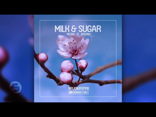 Milk & Sugar - Music Is Moving