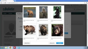 vBulletin 5 Connect: How to Use Media Albums