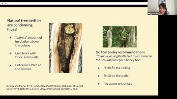 Science Behind a Vented Hive vs. a Condensing Hive and an Intro to Hive Huggers - the Short Version