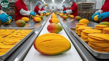 Inside a Modern Mango Factory – How Fresh Mangoes Become Premium Dried Snacks (The Entire Process)