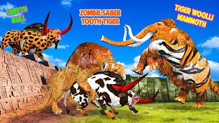 Prehistoric Mammals Woolly Tiger Mammoth Vs Saber Tooth Tiger Lion Cheetah Bull Saved Cow Maze run