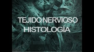 Tejido nervioso | Histología