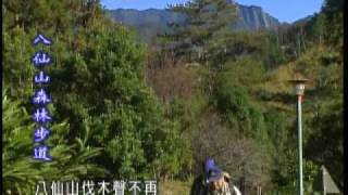 走在台灣的脊樑上 八仙山森林步道