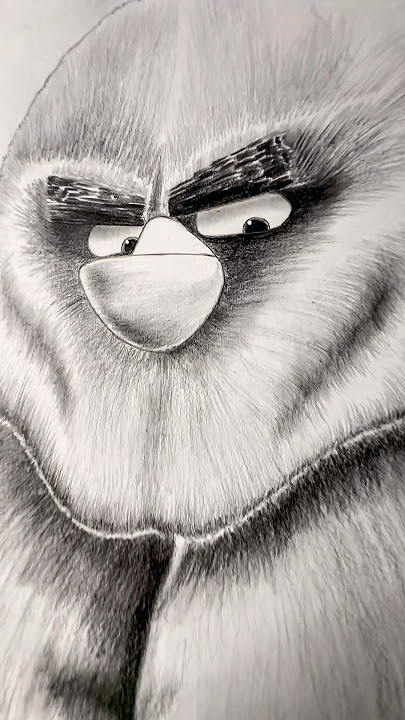 Terence Had Enough #emielhunswijk #art #drawing #angrybirds