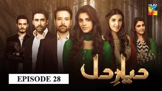 Diyar e Dil Episode 28 HUM TV Drama