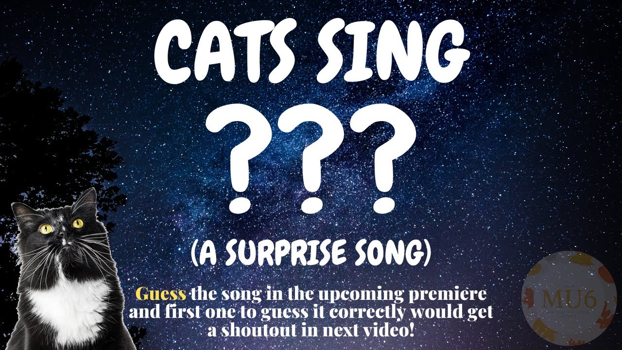 Cats can sing. IOIO Cat Sing.