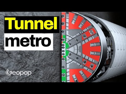 Video: Quanto sono profondi i tunnel delle talpe?