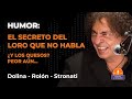 EL MISTERIO De Los QUESOS Y Un Loro Que No Calla Dolina Rolón Y Stronati 1998 EL MISTERIO De Los QUESOS Y Un Loro Que No Calla Dolina Rolón Y Stronati 1998