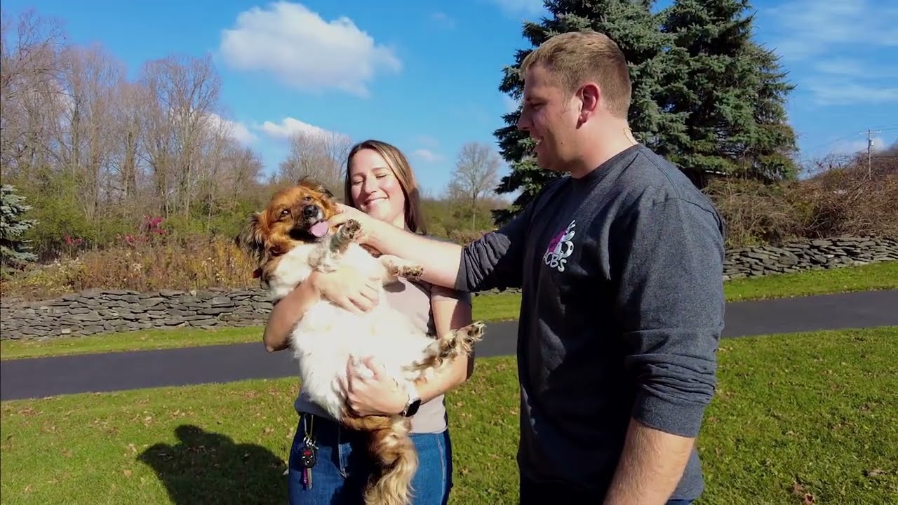 All Creatures Big and Small | WPBS Weekly: Inside the Stories