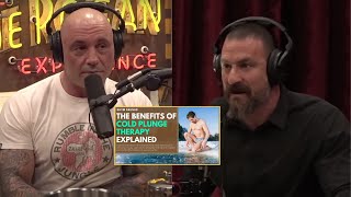 NEUROSCIENTIST: Why everybody MUST Cold Shower (Huge Benefits) | Joe Rogan & Andrew Huberman