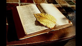 John 6 ESV