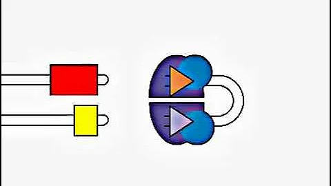 VDJ Gene Recombination