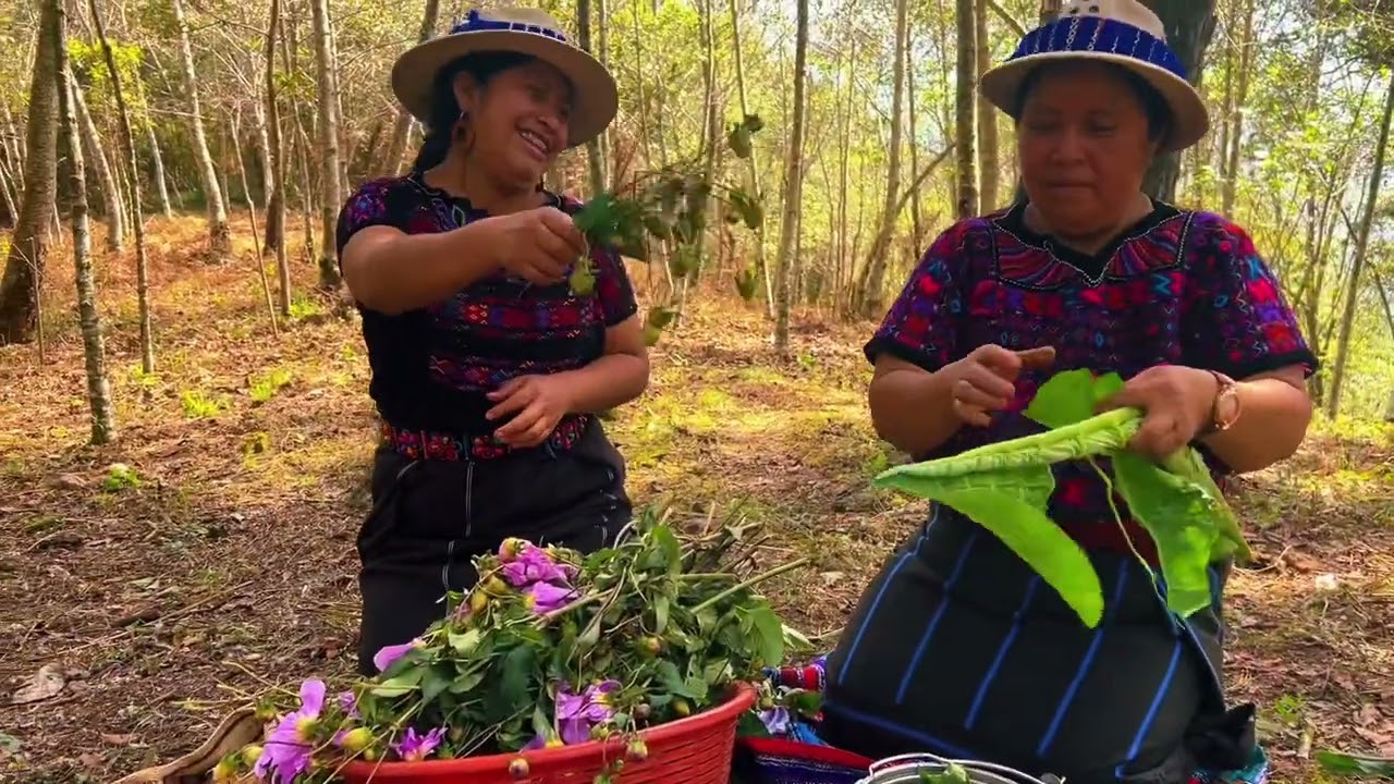 Preparamos un caldo de hierbas 🌿 para despedir el año 2022