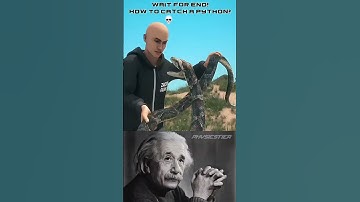 How To Catch A Python?