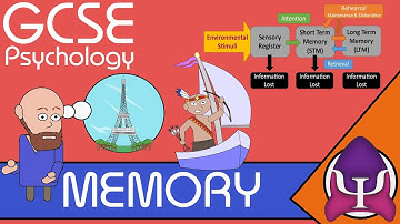 Memory: GCSE Psychology