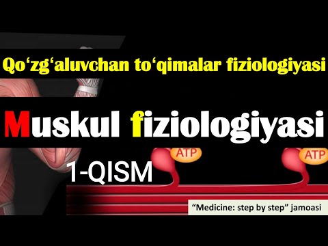 Video: Mushaklardagi anizotrop va izotrop tasmalar qanday?